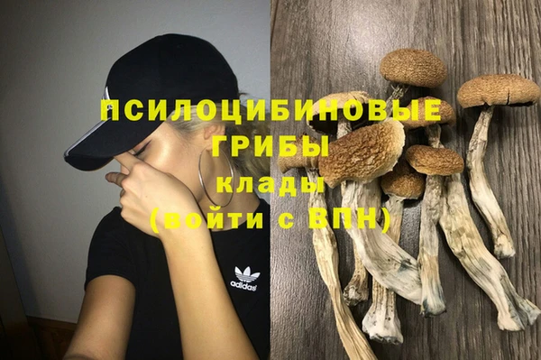 бошки Алзамай
