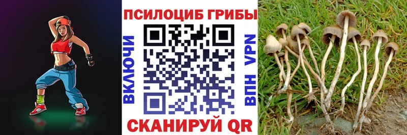 нарко площадка формула  Устюжна  Галлюциногенные грибы GOLDEN TEACHER  цена  