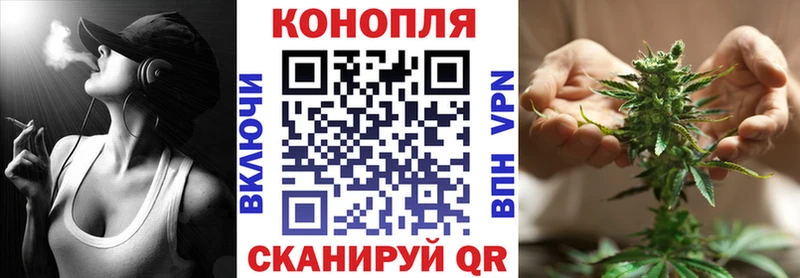 Бошки Шишки OG Kush  хочу   Устюжна 